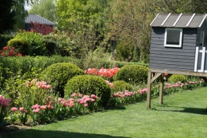 Rasenpflege, Tulpen und Buchsbaum mit Gartenspielhaus