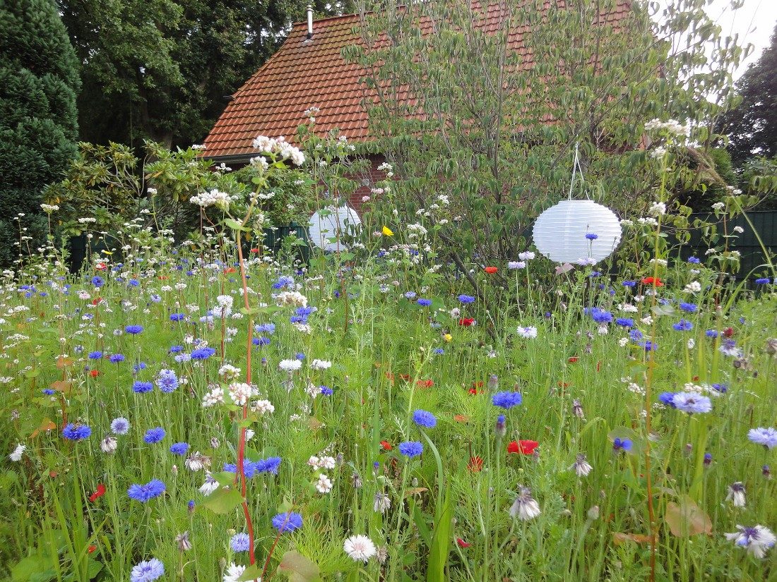 Gartenbepflanzung Ob blühende Rosen oder was zum Naschen